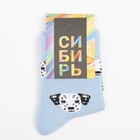 Набор детских носков (5 пар), размер 16 - фото 25374259