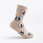 Набор детских носков (5 пар), размер 16 - фото 25374251