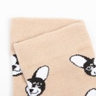 Набор детских носков (5 пар), размер 16 - фото 25374254