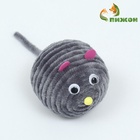 Игрушка для кошек «Мышка», 6.5 см - Фото 1