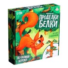 Настольная игра «Проделки белки» - фото 7102680