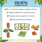 Настольная игра «Проделки белки» - фото 7102672