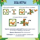 Настольная игра «Проделки белки» - фото 7102674