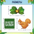Настольная игра «Проделки белки» - фото 7102678
