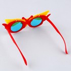 Карнавальные очки «Улёт», цвета МИКС - Фото 3