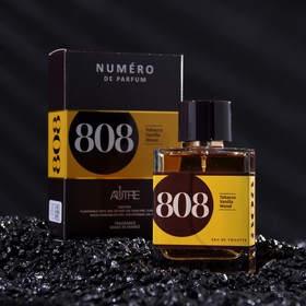 Туалетная вода мужская Numero de Parfum 808, 100 мл 9550342