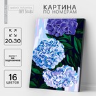 Картина по номерам на холсте с подрамником «Гортензии», 20×30 см - Фото 1