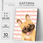 Картина по номерам на холсте с подрамником «Мопс», 20×30 см - Фото 1