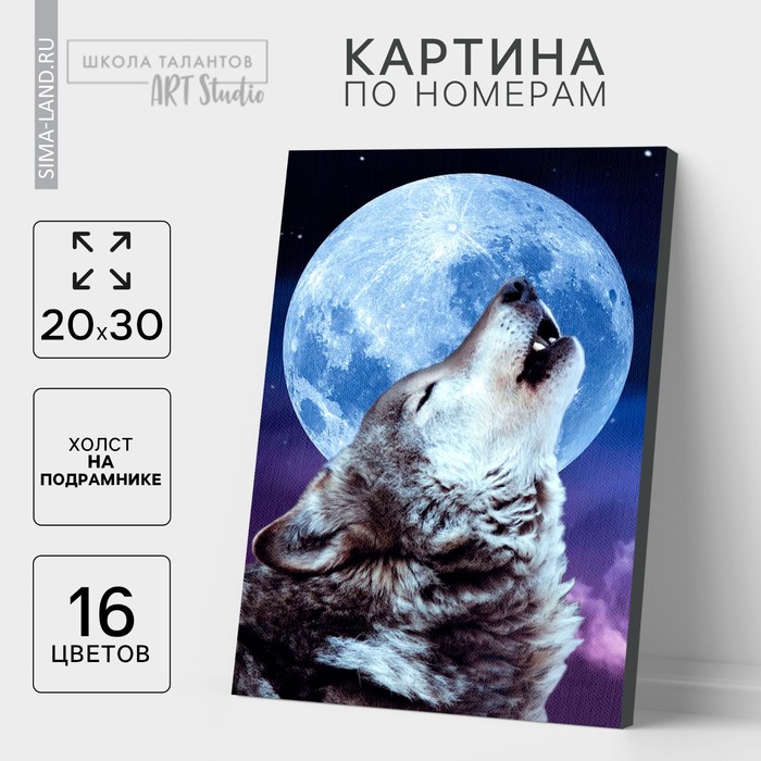 Картина по номерам на холсте с подрамником «Одинокий волк», 20×30 см - Фото 1
