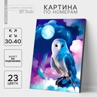 Картина по номерам на холсте с подрамником «Сказочная сова», 30х40 см - фото 8044107
