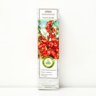 Айва великолепная (Хеномелес) Боуль де фё 1 шт., туба Весна 2026 - Фото 1