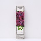 Барбарис Тунберга "Голден Ринг", 1 шт, туба, Весна 2024 9581356 - фото 8989703