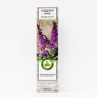 Буддлея Давида "Бодер Бьюти", 1 шт, туба, Весна 2025 - Фото 1