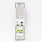 Буддлея Давида "Бодер Бьюти", 1 шт, туба, Весна 2025 - Фото 2