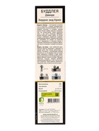 Саженец Буддлея Давида Люкс «Беррис энд Крим», декоративный, цветущий, 1 шт., туба - Фото 3