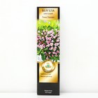 Вейгела цветущая Патио Люкс "Пинк Попет", 1 шт, туба, Весна 2025 - Фото 1