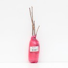 Гибискус сирийский Люкс "Матильда", 1 шт, туба, Весна 2025 - Фото 3