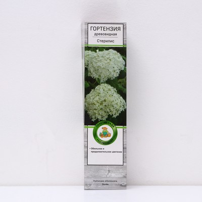 Гортензия древовидная "Стерилис", 1 шт, туба, Весна 2025