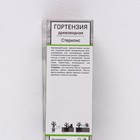 Гортензия древовидная "Стерилис", 1 шт, туба, Весна 2025 9581404 - фото 4336697