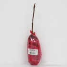 Гортензия древовидная Люкс «Кандибел Маршмеллоу», 1 шт., туба, Весна 2025 9581406