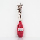 Гортензия метельчатая Патио Люкс "Литтл Фрайз", 1 шт, туба, Весна 2025 9581415