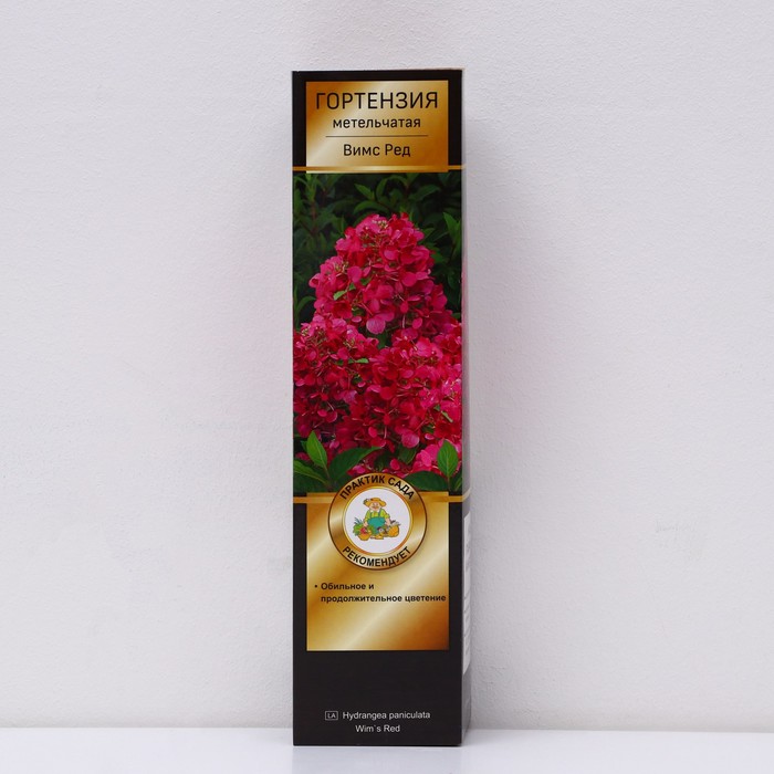Гортензия метельчатая Люкс Вимс Ред 1 шт., туба, Весна 2026