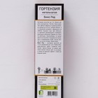 Гортензия метельчатая Люкс "Вимс Ред очень раннее цв., с июня", 1 шт, туба, Весна 2026 9581429