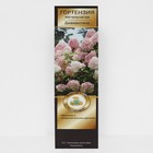 Гортензия метельчатая Люкс «Диамантино», саженец декоративный, цветущий, 1 шт., туба - Фото 1