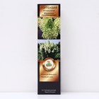 Гортензия метельчатая Люкс "Мэджикал Килиманджаро", 1 шт, туба, Весна 2026 9581438