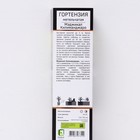 Гортензия метельчатая Люкс "Мэджикал Килиманджаро", 1 шт, туба, Весна 2026 9581438