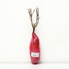 Гортензия метельчатая Люкс "Мэджикал Кэндл", 1 шт, туба, Весна 2026 9581439