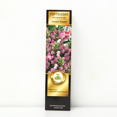 Гортензия метельчатая Люкс «Сандей Фрайз », саженец декоративный, цветущий, 1 шт., туба