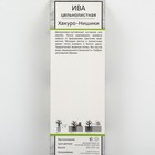 Ива цельнолистная Хакуро-Нишики 1 шт., туба, Весна 2026 - Фото 2