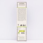 Калина обыкновенная 1 шт., туба, Весна 2026 - Фото 2