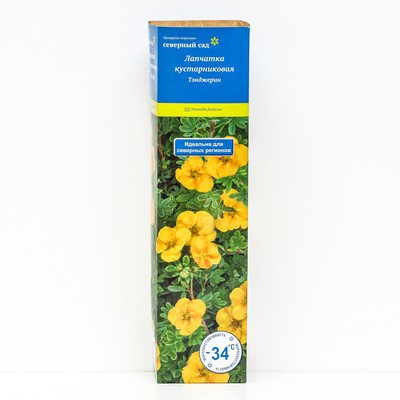 Лапчатка кустарниковая (Серия Северный сад) "Тэнджерин ", 1 шт, туба, Весна 2024