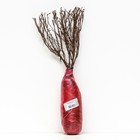 Лапчатка кустарниковая Люкс "Беллисима", 1 шт, туба, Весна 2024 - Фото 3