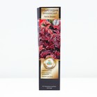 Пузыреплодник калинолистный, H-50 "Литтл Энжел", туба, 1 шт, Весна 2024 9581510 - фото 8989726