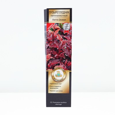 Пузыреплодник калинолистный, H-50 "Литтл Энжел", туба, 1 шт, Весна 2024