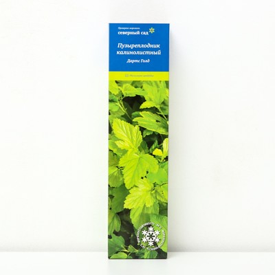 Пузыреплодник калинолистный (Серия Северный сад) "Дартс Голд", 1 шт, туба, Весна 2025
