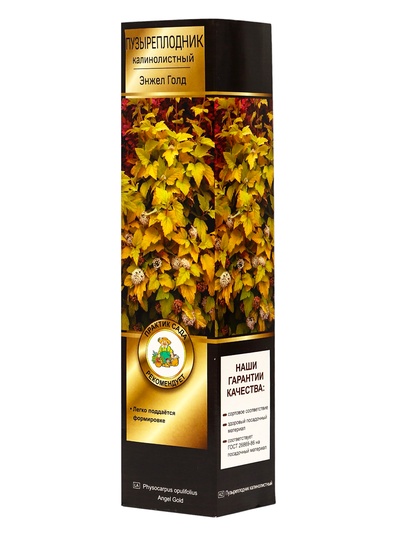 Пузыреплодник калинолистный Люкс Энис Голд 1 шт., туба, Весна 2026