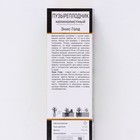 Пузыреплодник калинолистный Люкс "Энис Голд", 1 шт, туба, Весна 2025 - Фото 2