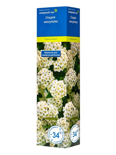 Спирея Вангутта (Серия Северный сад) 1 шт. туба, Весна 2026