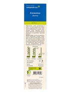 Клематис ботанический (Серия Северный сад) «Дженни», саженец, цветущий, лиана, 1 шт., туба - Фото 3