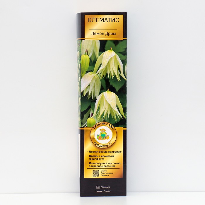 Клематис ботанический Люкс «Лемон Дрим », саженец, цветущий, лиана,1 шт., туба - Фото 1