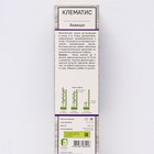 Клематис крупноцветковый "Акаиши ", 1 шт, туба, Весна 2025 - Фото 2