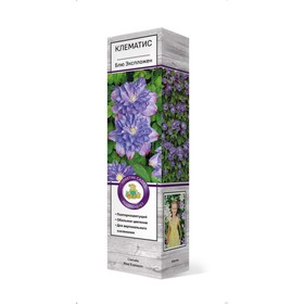 Клематис крупноцветковый 