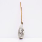 Клематис крупноцветковый «Вестерплатте», туба, 1 шт. - Фото 3