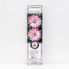 Клематис крупноцветковый Виолет Элизабет 1 шт., туба, Весна 2026 - Фото 1