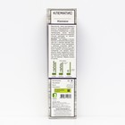 Клематис крупноцветковый "Жакмани ", 1 шт, туба, Весна 2026 9581663