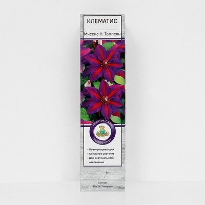 Клематис крупноцветковый "Миссис Н. Томпсон ", 1 шт., туба
